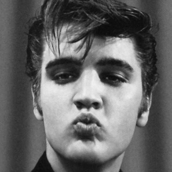 The Illustrated Elvis by W.A. Harbinson Magazine - Picture 10 of 16